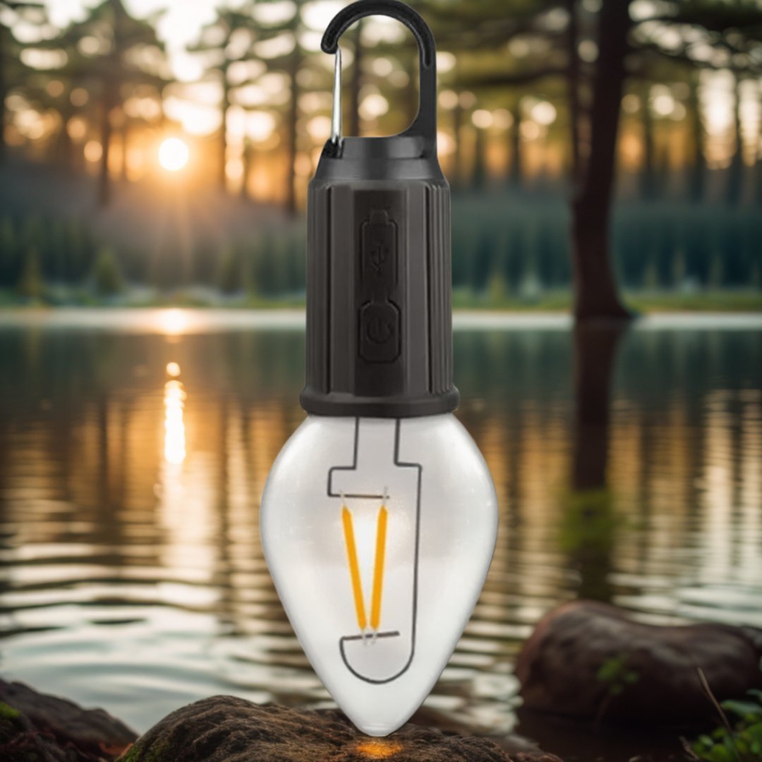 ampoule-rechargeable-nature