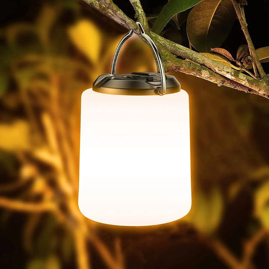 lampe-led-sans-fil-accrochee-a-un-arbre