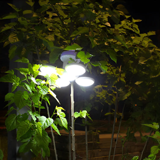 lampe-rechargeable-dans-les-arbres-en-nature