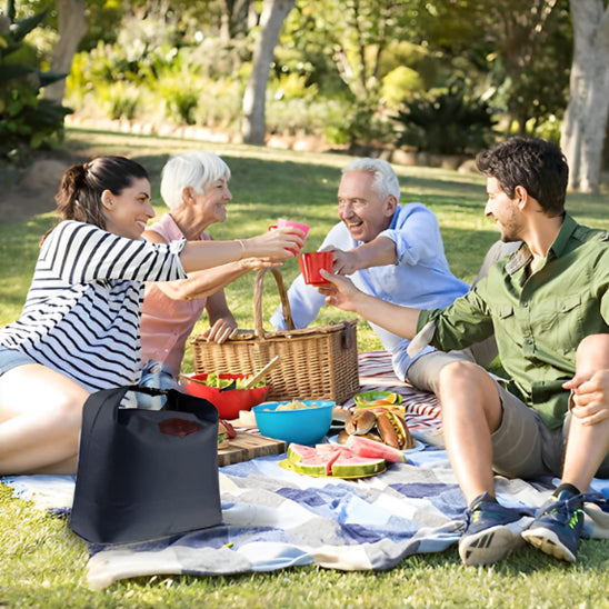 lunch-bag-noir-lors-de-pique-nique-en-famille-dans-un-parc